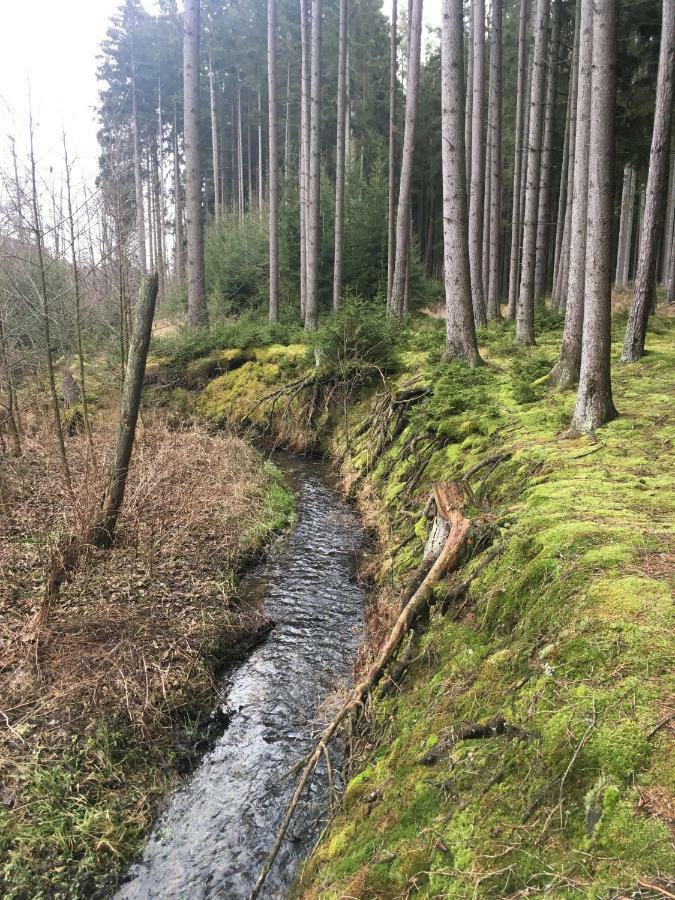 Nature Center Udoli Volavek Weseritz Eksteriør billede